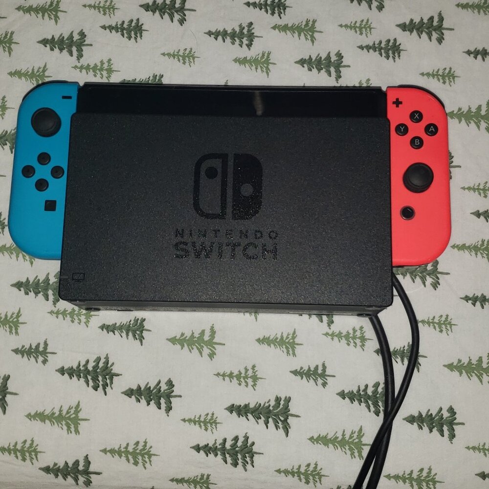 Nintendo Switch (Lightly Used)